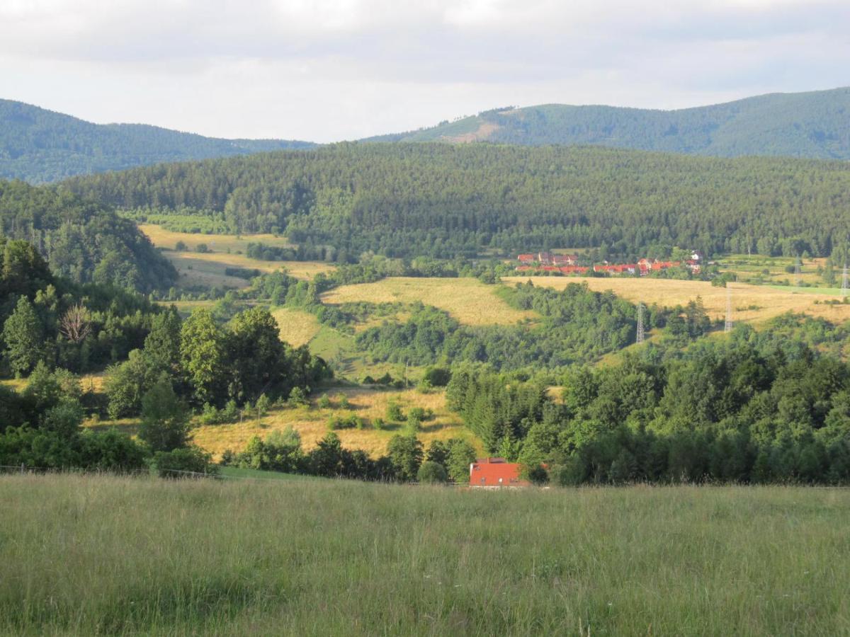 Apartamenty Anagora Kotlina Klodzka II Nowa Ruda Bagian luar foto